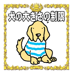 横浜市の犬と入れるカフェなら犬用ご飯もあるSmiley-Smile